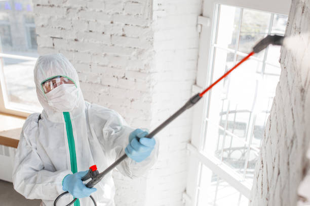 Best Mold Documentation for Insurance Claims  in White Sands, NM