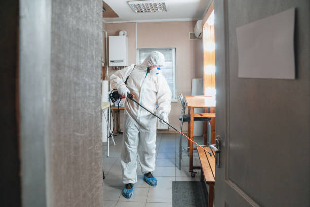Best Mold Damage Restoration  in White Sands, NM