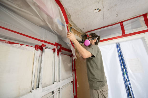 Best Post-Remediation Verification Testing  in White Sands, NM