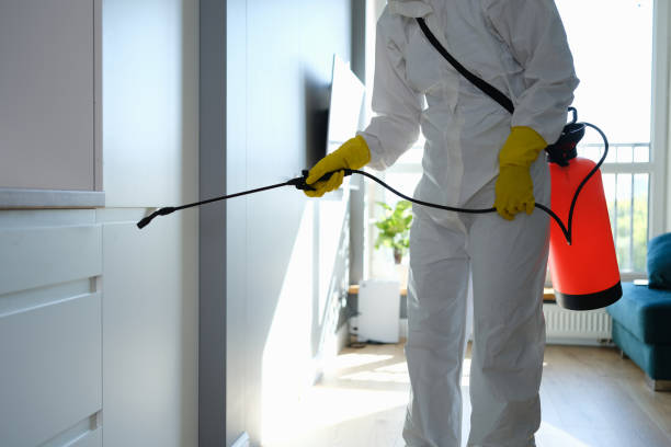 Best Commercial Mold Inspection  in White Sands, NM