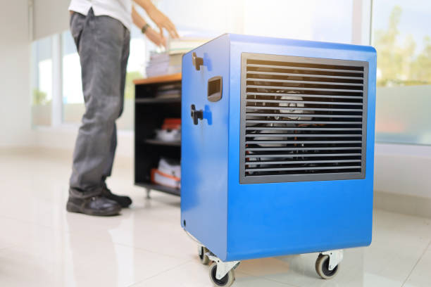 Best Industrial Mold Remediation  in White Sands, NM