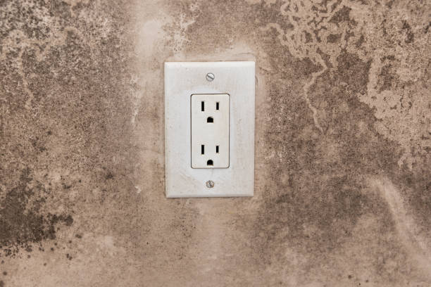Best Water Damage & Mold Remediation  in White Sands, NM