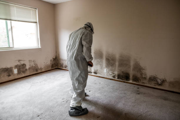 Best HVAC Mold Inspection and Cleaning  in White Sands, NM